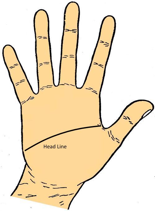 Head Line Palminstry